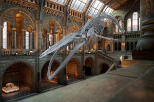 Read more about the article All You Need To Know About Museums