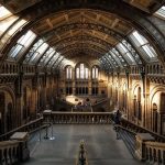Planning Your Next Family Museum Visit